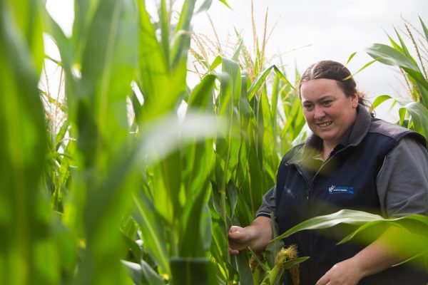 Farmgate Stock Feed